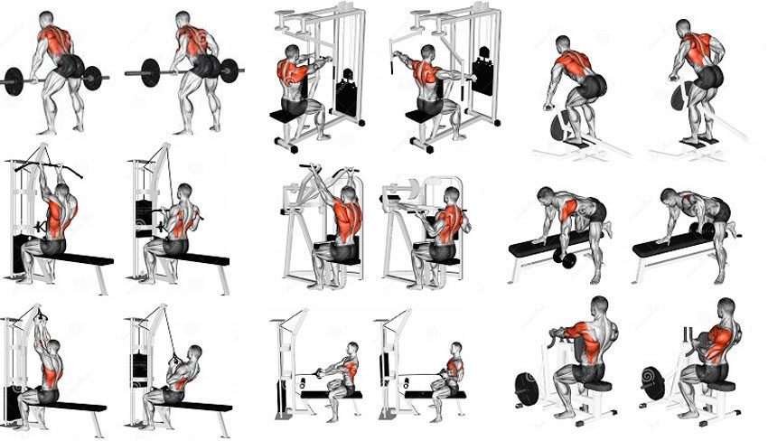 Esercizi per i muscoli della schiena